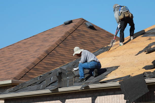 Best Skylight Installation and Repair  in Oak Grove, VA