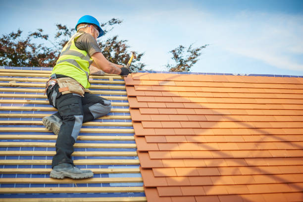Best Gutter Installation and Repair  in Oak Grove, VA